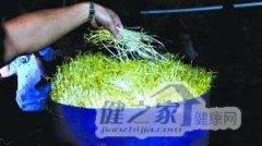  广宁县一作坊日产销500斤有毒豆芽
