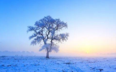 冬季精神养生的原则是:宁静为本,保养精神。