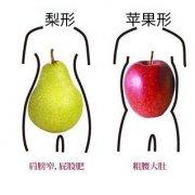 梨形身材女人比苹果形女人更长寿？