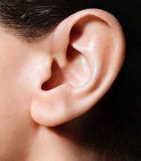 两大特征 助你辨别自己是否拥有长寿耳