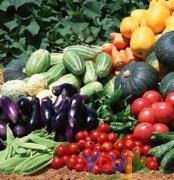安徽蔬菜农药超标 健康隐患一触即发